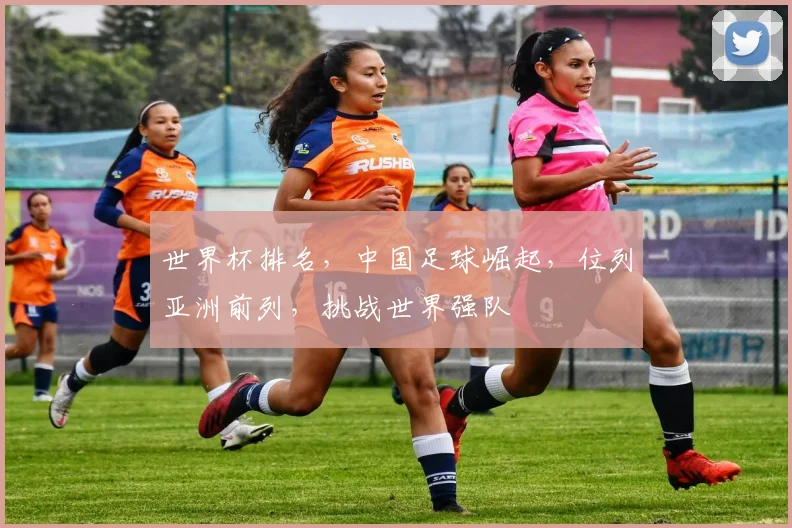 世界杯排名，中国足球崛起，位列亚洲前列，挑战世界强队
